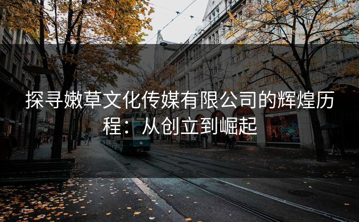探寻嫩草文化传媒有限公司的辉煌历程：从创立到崛起
