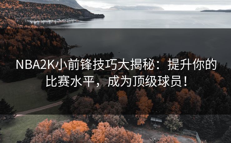 NBA2K小前锋技巧大揭秘：提升你的比赛水平，成为顶级球员！
