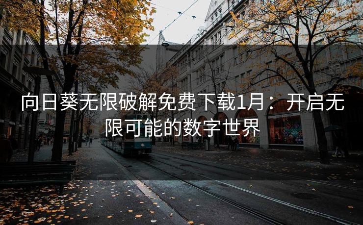 向日葵无限破解免费下载1月：开启无限可能的数字世界