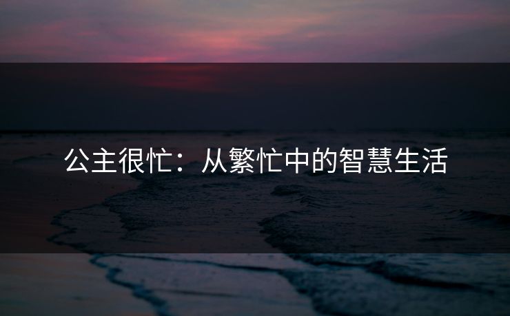 公主很忙：从繁忙中的智慧生活