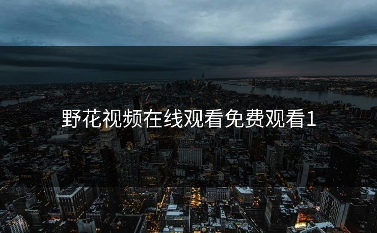 野花视频在线观看免费观看1