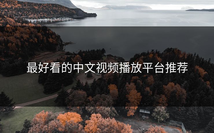 最好看的中文视频播放平台推荐