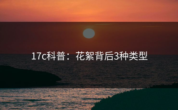 17c科普：花絮背后3种类型